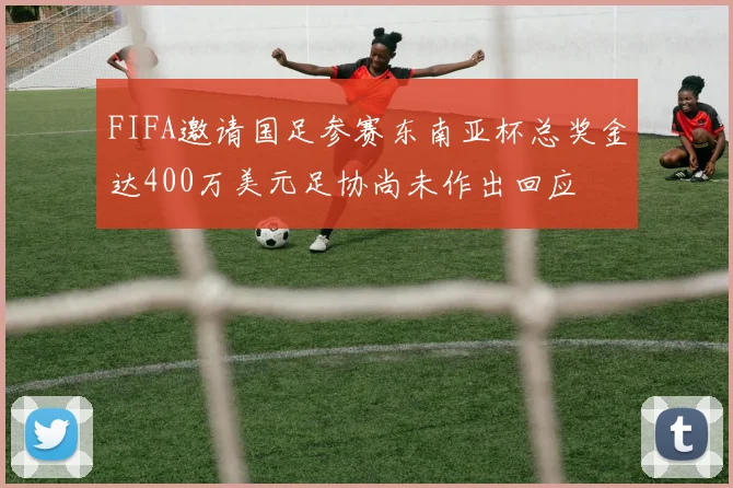 FIFA邀请国足参赛东南亚杯总奖金达400万美元足协尚未作出回应