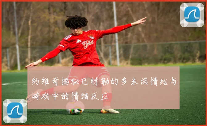 约维奇揭秘巴特勒的多米诺情结与游戏中的情绪反应