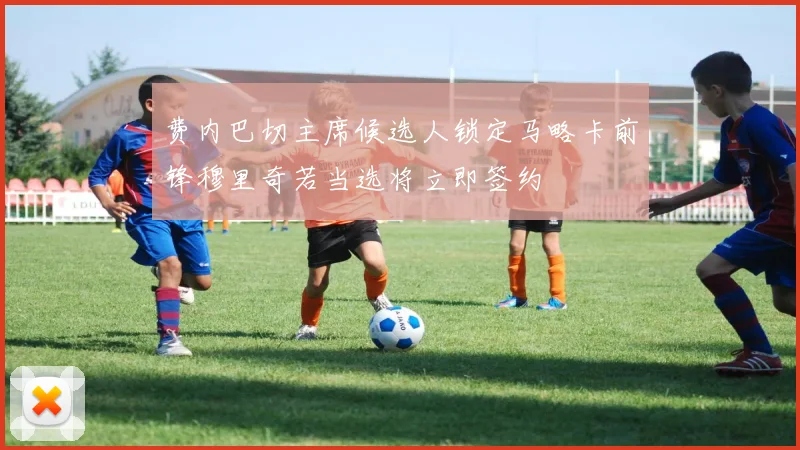 费内巴切主席候选人锁定马略卡前锋穆里奇若当选将立即签约