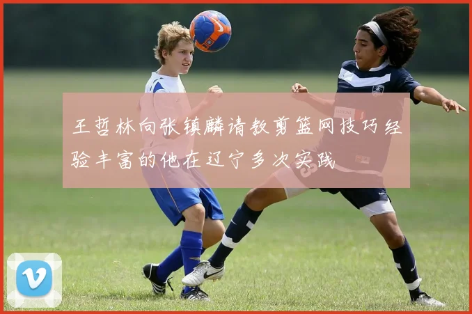 王哲林向张镇麟请教剪篮网技巧经验丰富的他在辽宁多次实践